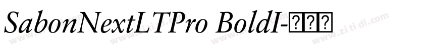 SabonNextLTPro BoldI字体转换
